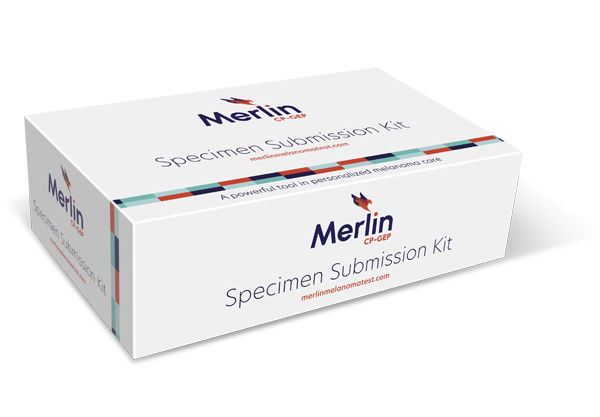 Merlin-Kit-031626